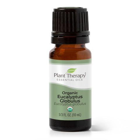 Eucalyptus Globulus ORGANIC Essential Oil